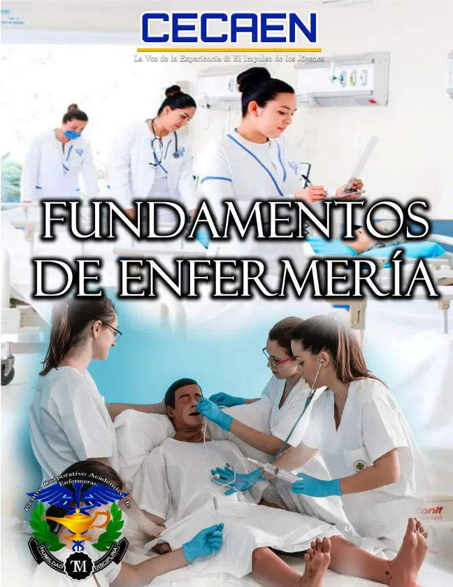 Libro Fundamentos de enfermeria